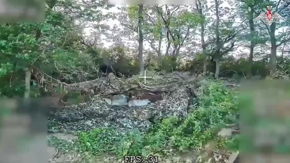 ����� � ����. ����������� ������ ��������� �������� �������, ������� �����, �������, �������� ����������������� ���������, ������ ��������� ���������� ��� � ���� ����������
