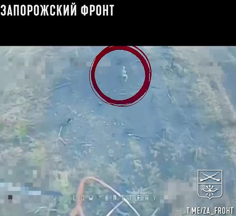 Оператор БПЛА из состава 291-го полка, входящего в группу «Немца», продолжает успешно выявлять и поражать укреплённые позиции противника на Запорожском направлении