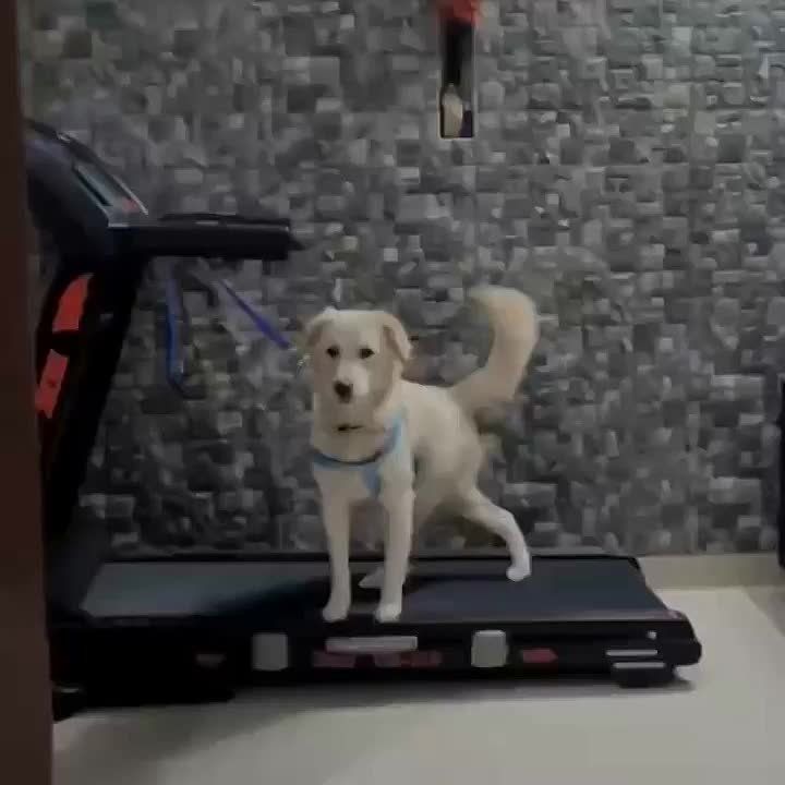 ��������� � ����� ������ ����!