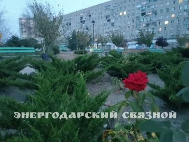 Суббота – чудесный повод порадоваться жизни и воскреснуть после трудовых будней!