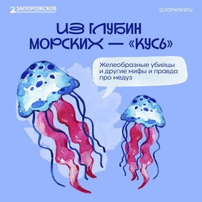 Если пеной — то только морской: чего не стоит делать после контакта с медузой