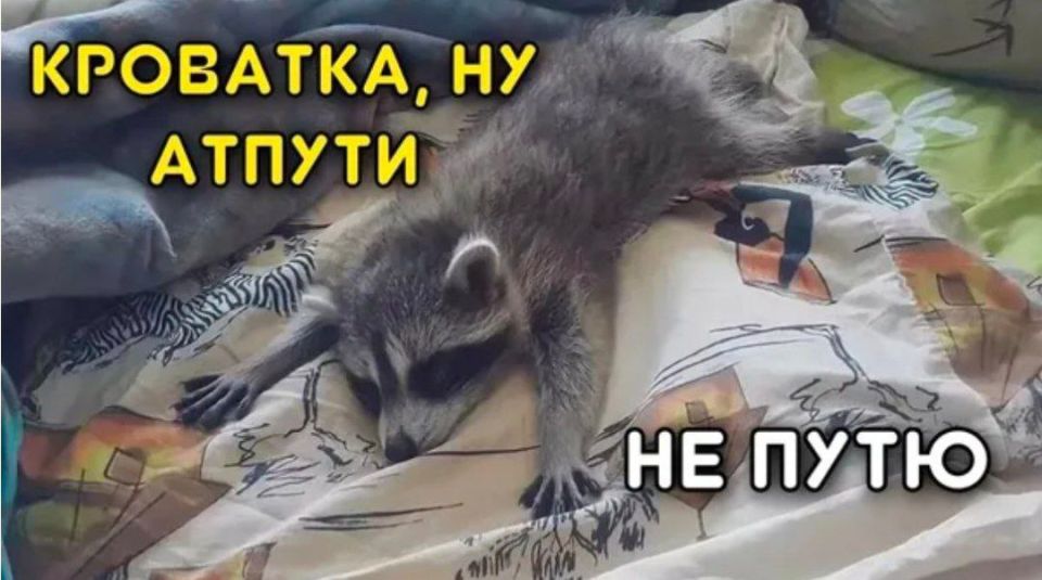 ������ ����, ������! �������� ��� ��� � ��������� ����������!