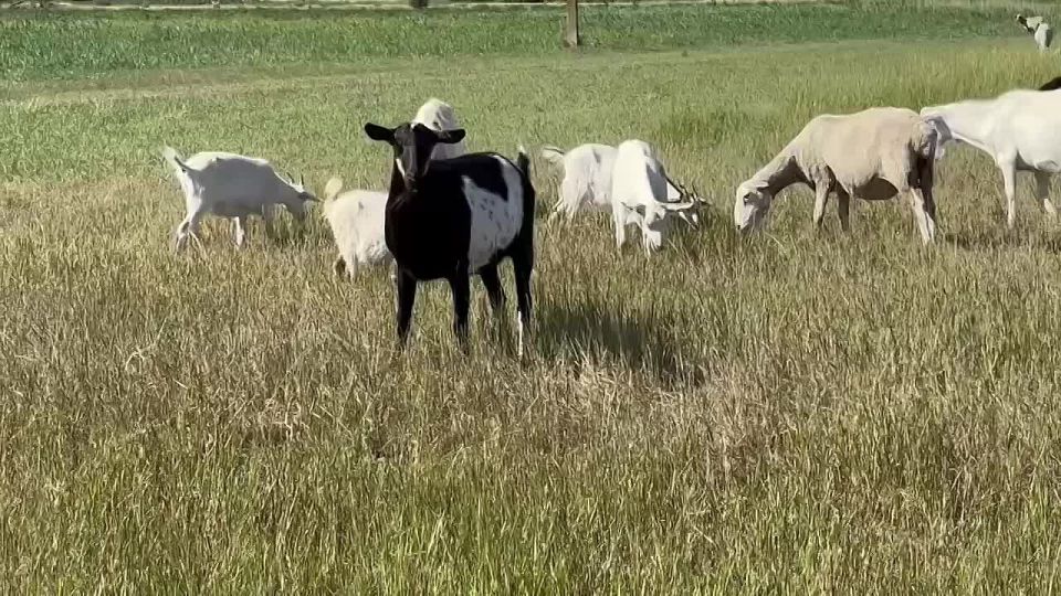 ������ ������: ����������� � ����� � � �������������� ������