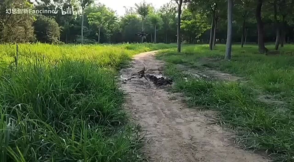 ��� ���� ������ ����� ��������