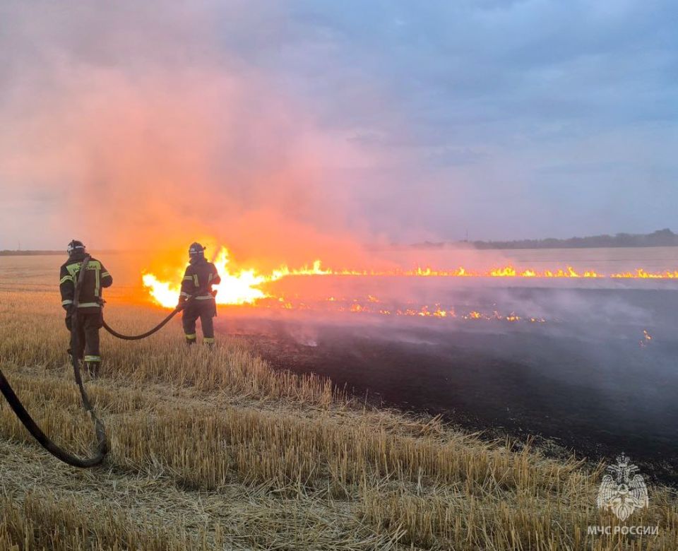 Оперативная информация за сутки