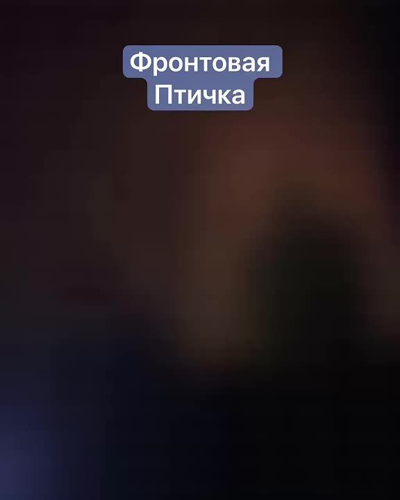 ���������. ��������������� ������ ����