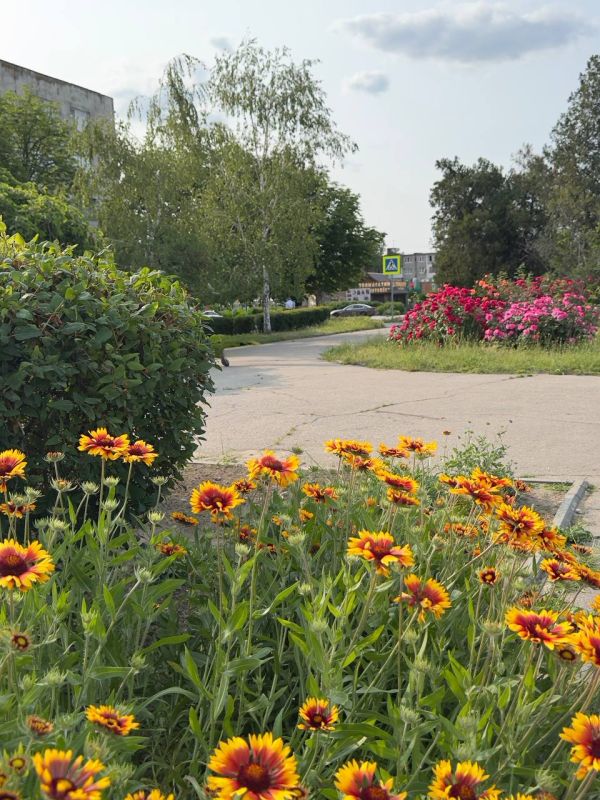 С добрым утром, с наступившим днём!