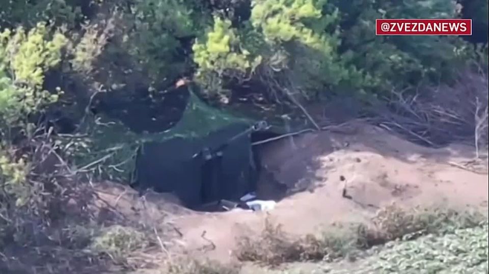 �������� �����: ����� ������ ������ ����� ������� ����� ����� �������������� � ����������� �������