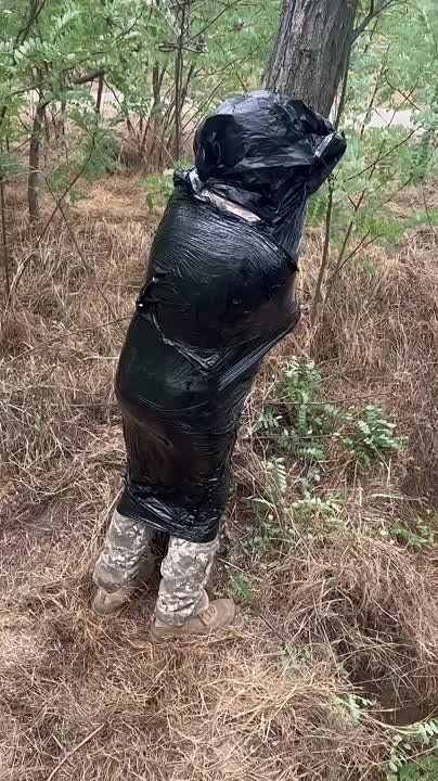 ���������� �������� ��� �������� ����� ���������������� ���� �� ��������� � �����