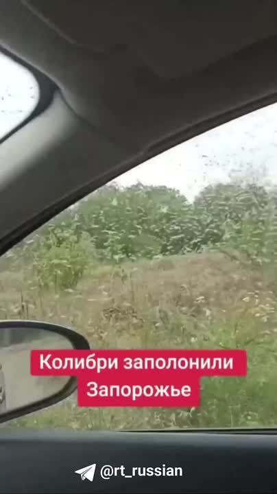 ���������� ������� ��������� �������������� ����� ����� ����������� �������