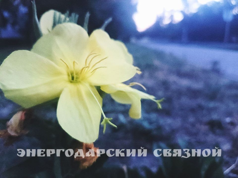 � ������ ����� ����! ����� ��� ����� ����� ������, ��-������� ����� � ��������-���������!