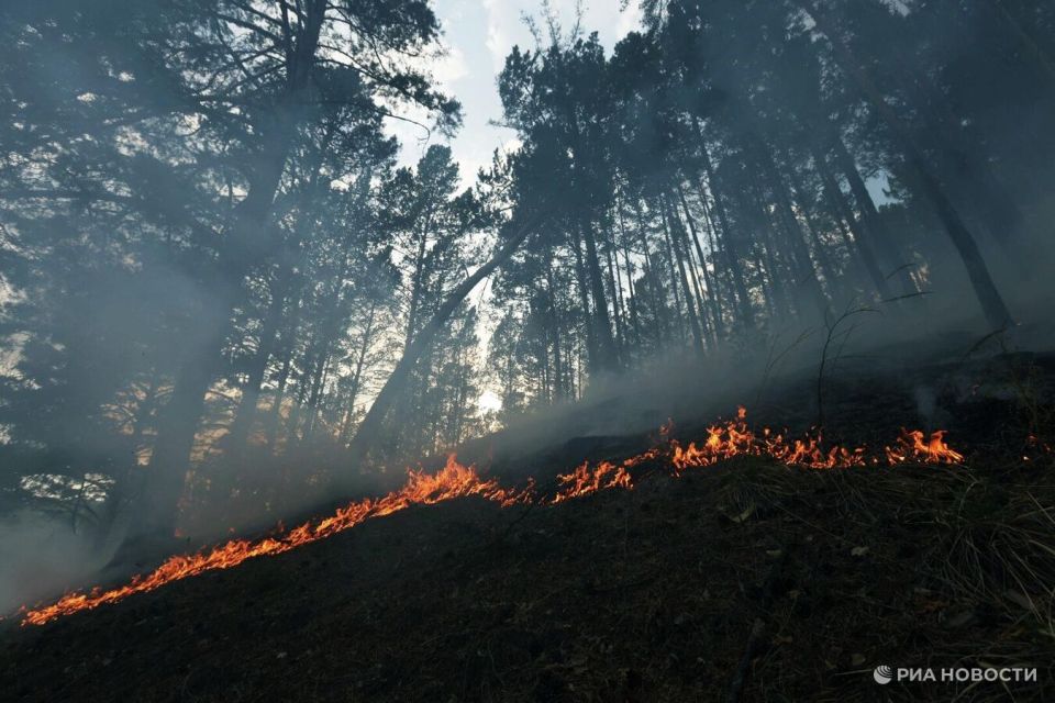 В окрестностях Энергодара завершили тушение пожара