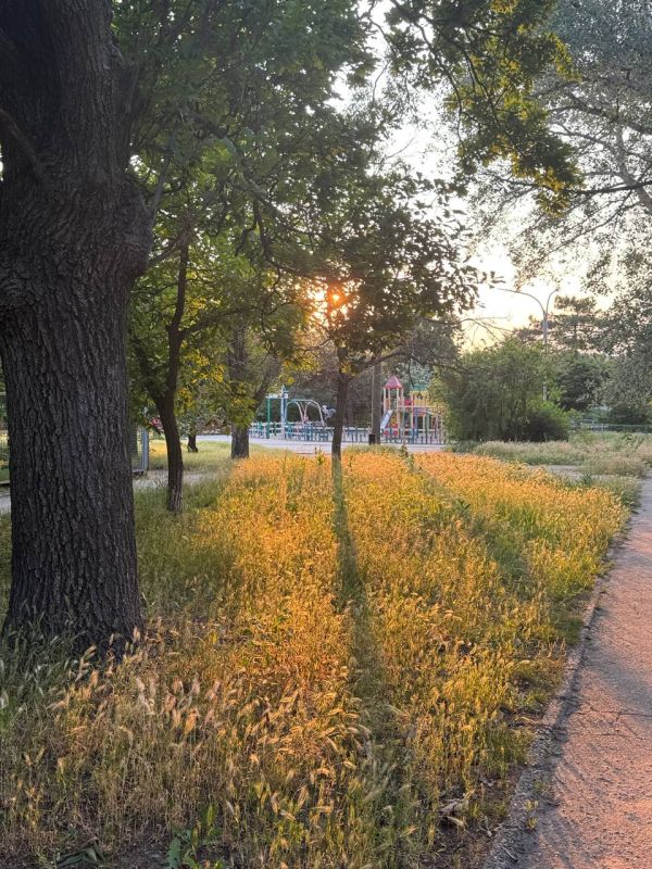 Желаем всем по-настоящему доброго утра!