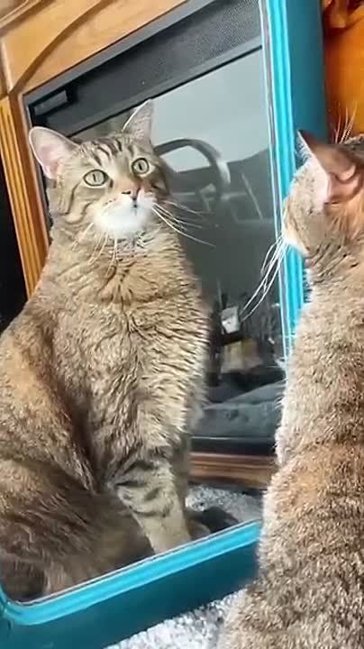 � � ����� �������� �������� ����� ��������� � ��������?)))