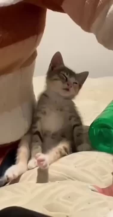 ��� � ������� � ����� �����������