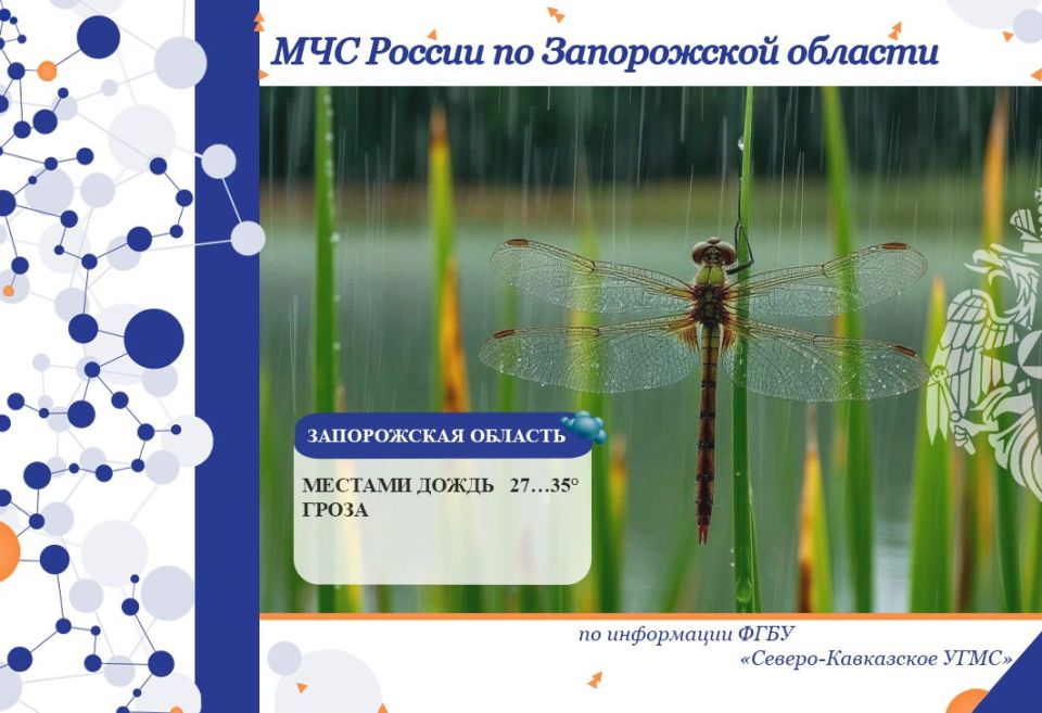 � 21 �� 22 ���� �� ���������� ������� ���������: