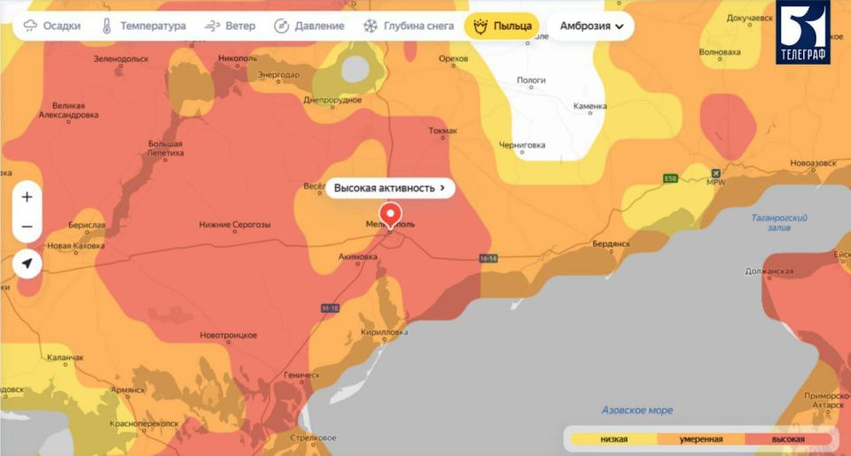 Анна Хорошун: В Запорожской области зафиксирована высокая активность пыльцы