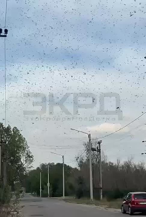 ��������� ������� ������������ �� �������: ������ ���������� �������� � ���������������� �������