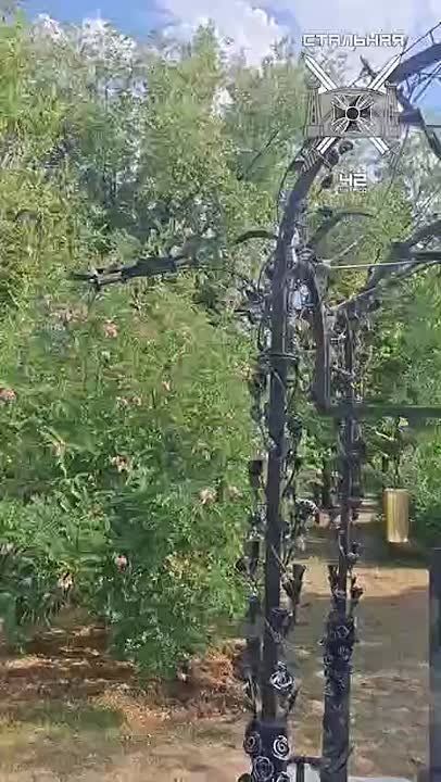 �������� �������� ����������� ������ ������ 42-� ����������� ������������� ��������������� �������������� ������� ����������� � �������