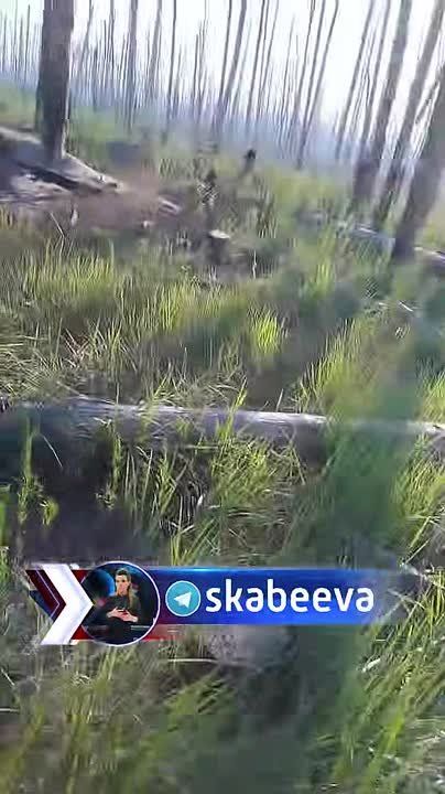 ��� ��� ���������� - �������� ���� ������� ��������� ��������� � ����������� �������