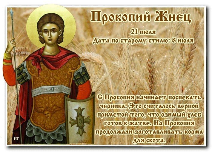 Народный календарь: Казанская летняя (Прокопьев день, Зажинки)