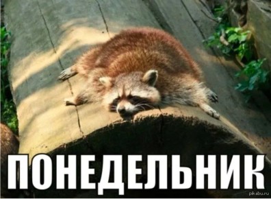Доброе утро, друзья! Хорошего вам дня и отличного настроения!