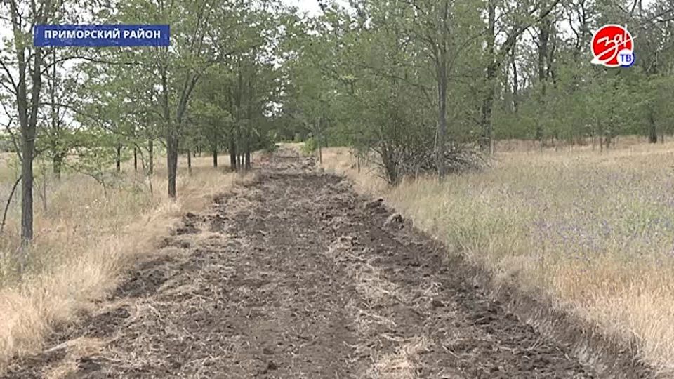 Сотрудники Приморского производственного участка обеспечивают защиту лесов от огня в пожароопасный сезон