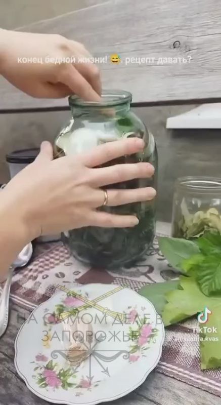 Запорожцы начали консервировать атаковавшую регион саранчу