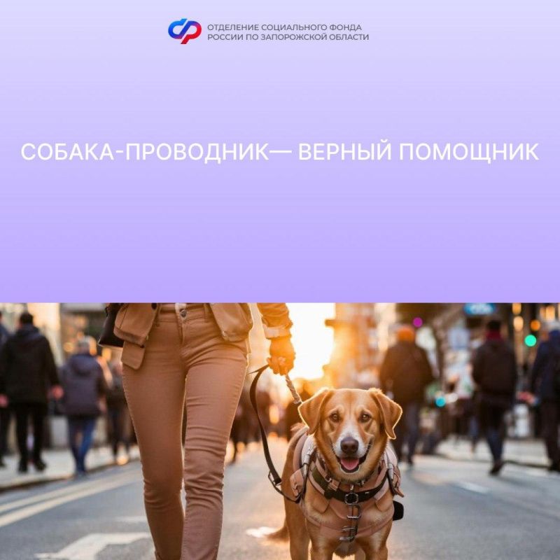 ��� �������� �������� ������-����������