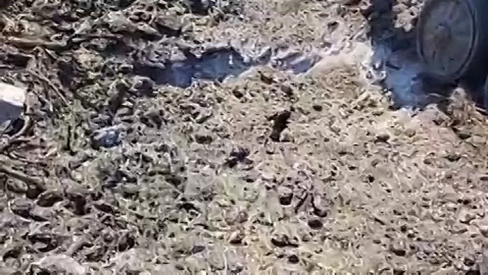 Уничтоженная БМП хохлов на одном из направлений