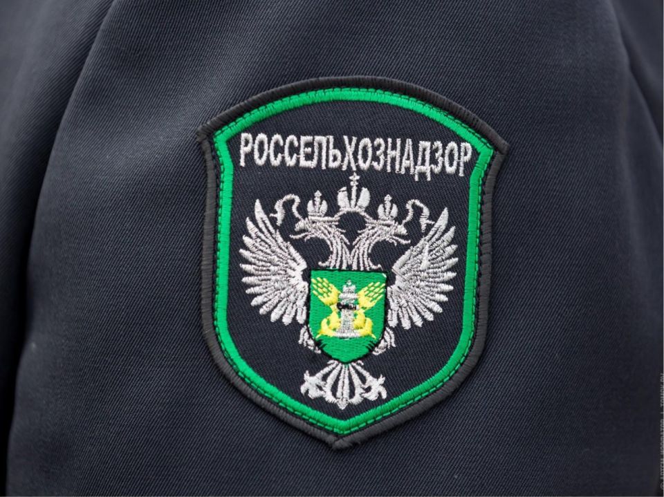 Россельхознадзор провел инвентаризацию виноградников в Запорожской области