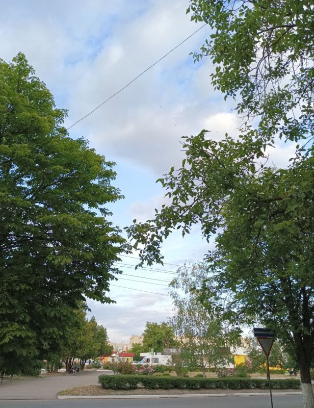 Утро — рождение нового дня, начало маленькой главы жизни