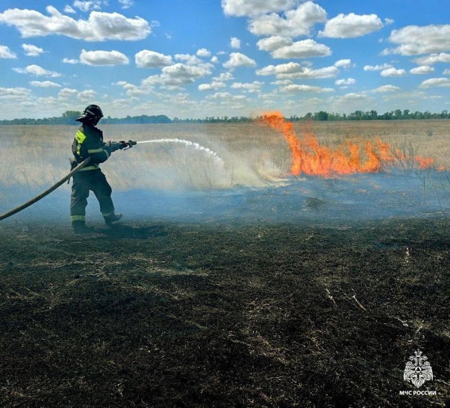 Оперативная обстановка на территории Запорожской области за прошедшую неделю
