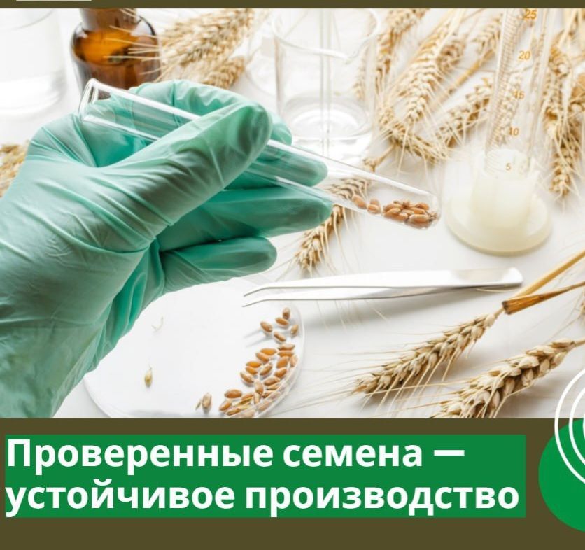 Проверенные семена - устойчивое производство