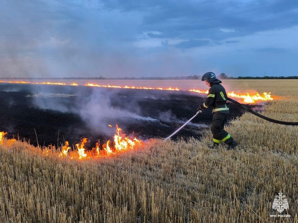 Оперативная информация за сутки