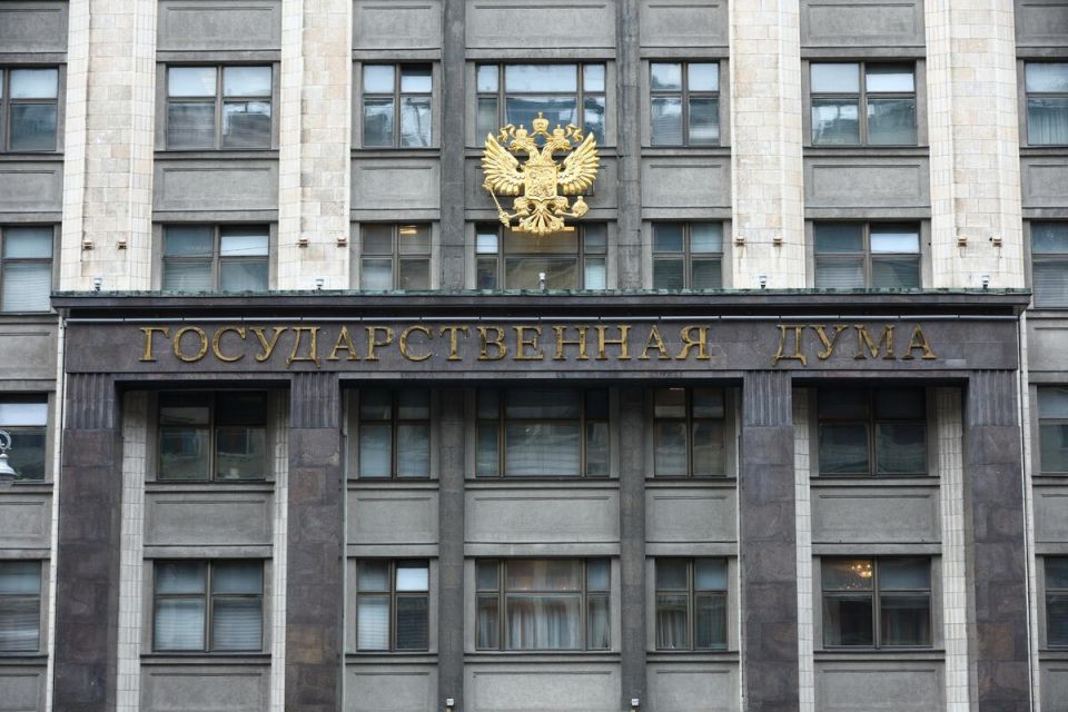 Доплаты матерям-героиням и перерасчёт пенсий многодетным – Государственная Дума приняла законопроект в I чтении