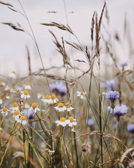 С добрым утром!