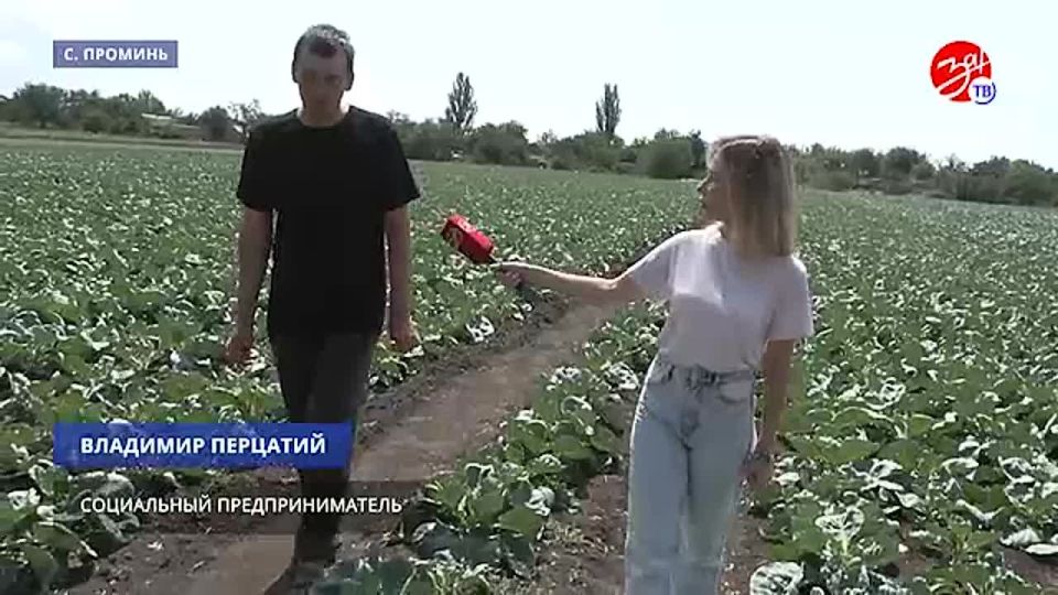 В Запорожской области работает программа по предоставлению финансовой помощи от государства