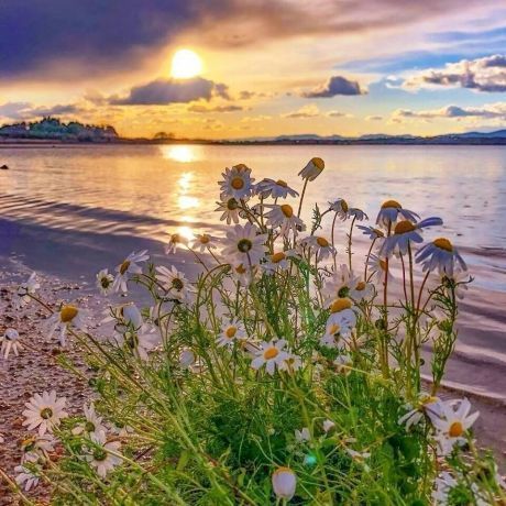 Доброе утро. А вы знали, что сегодня