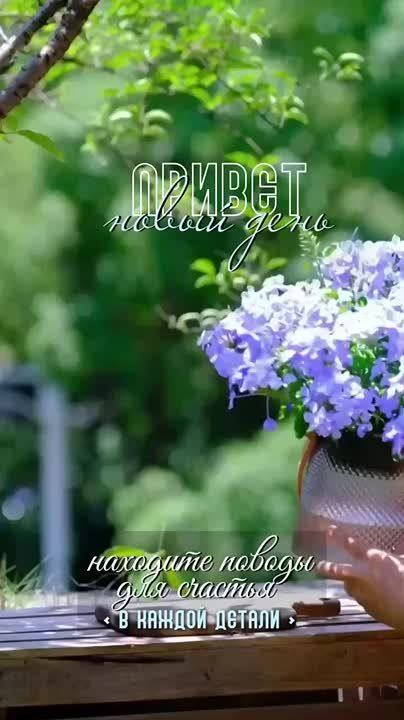 Доброе утро