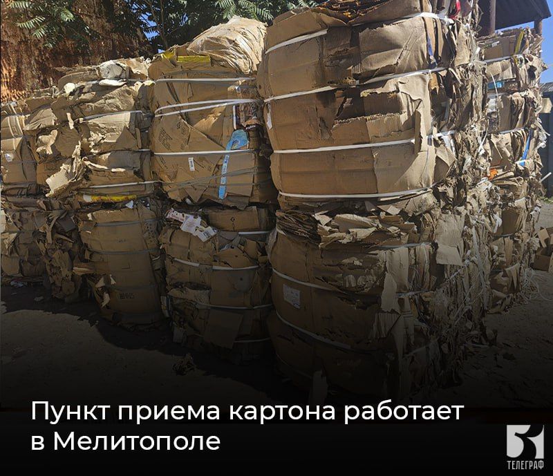 Пункт приема картона работает в Мелитополе