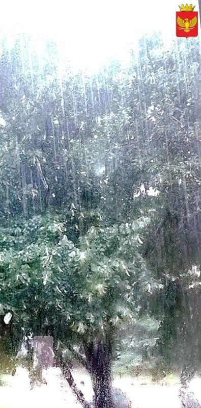 Ну как вам летний ливень, друзья? Неожиданно? Умеет природа нас удивлять!