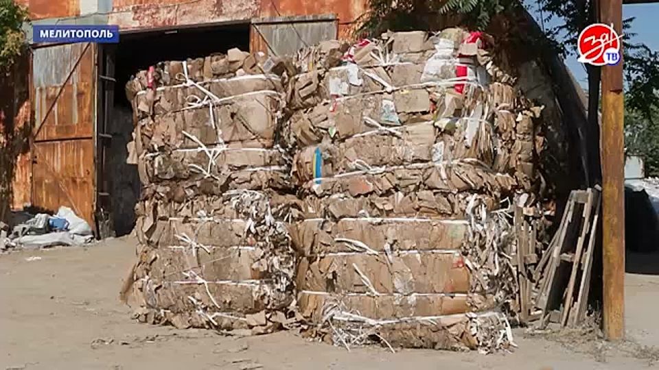 Специалисты «ЭкологияРесурс» и волонтёры общественной организации «Экосистема» призывают беречь лес от вырубки