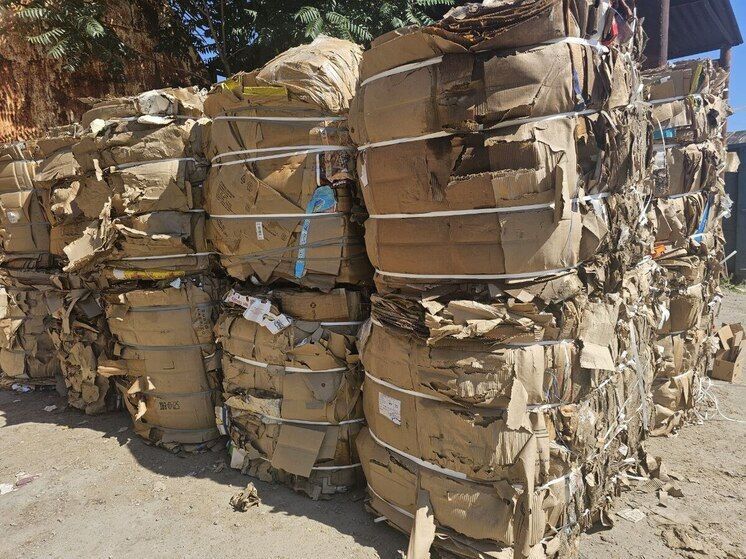 Более 20 тонн макулатуры отправлены на переработку в Запорожской области