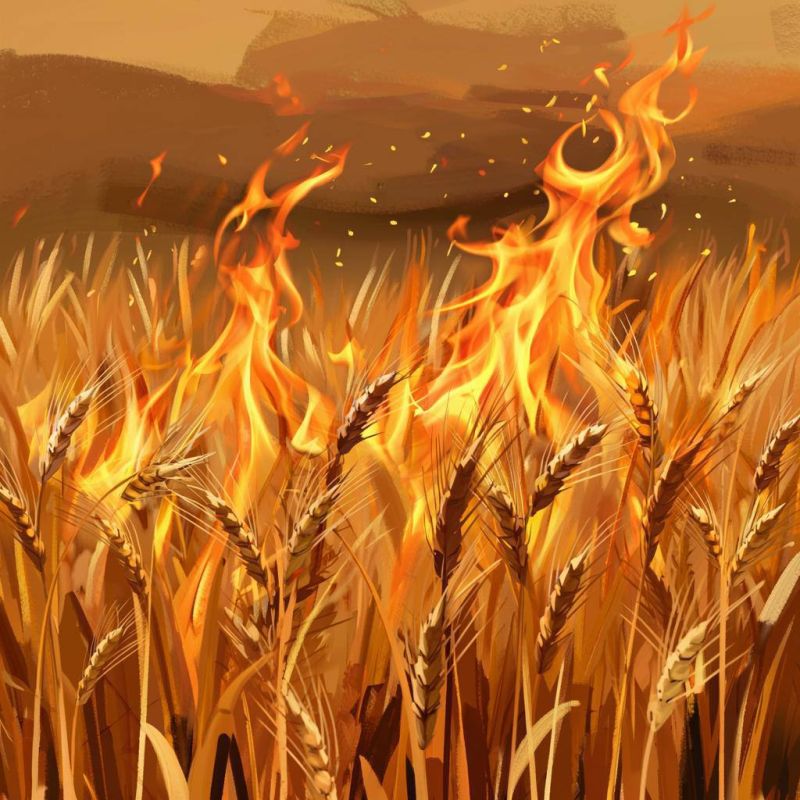 ВНИМАНИЕ: ПОЖАРООПАСНЫЙ ПЕРИОД! БЕРЕГИТЕ СВОЙ ДОМ И НАШ КРАЙ!