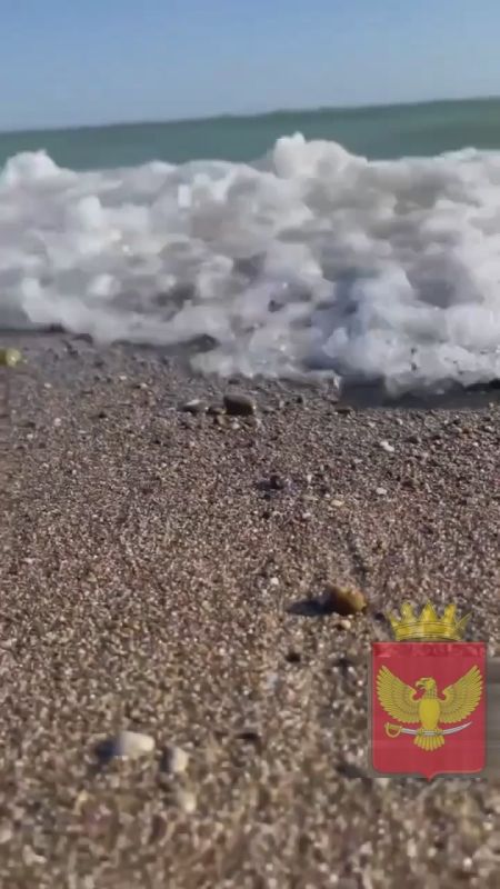 Доброе утро, друзья!. Начинаем новый день под шум волн любимого и самого ласкового Азовского моря)) Пусть четверг будет успешным! И пусть сегодня всё получается)) Подписывайтесь на: Вести Приморск