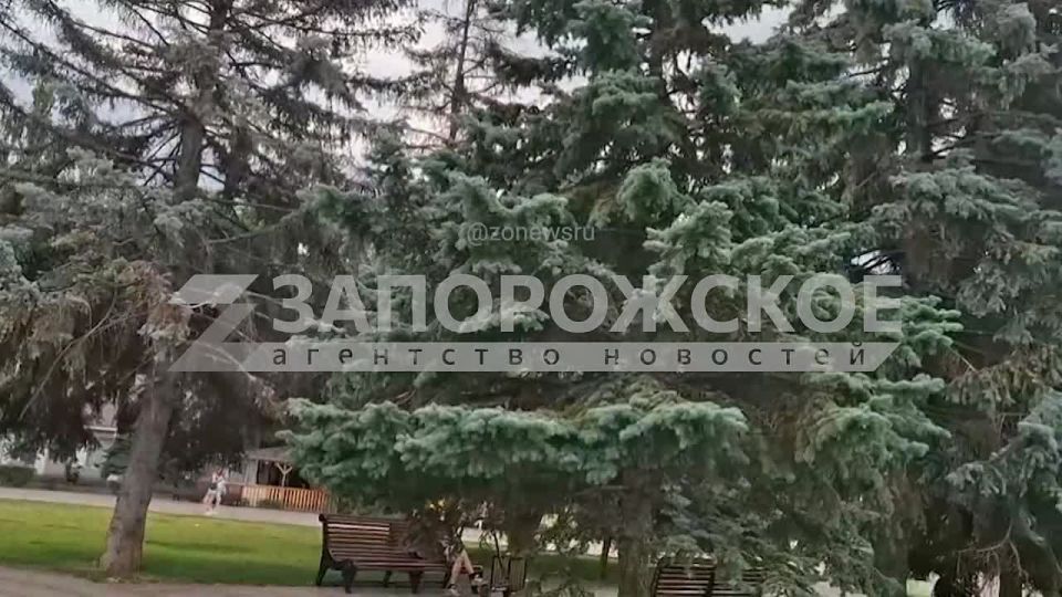Фонтан на площади Победы притягивает жителей Мелитополя в эти жаркие дни