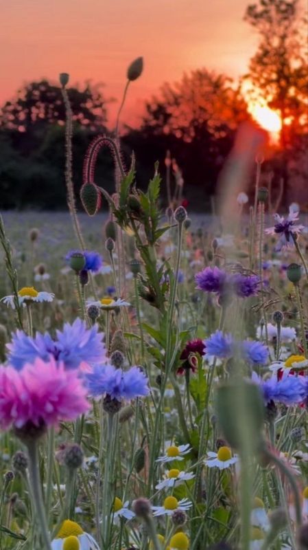 Хорошего вам вечера!