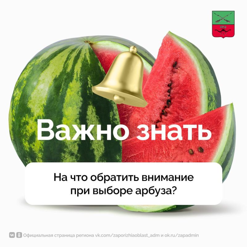 �������� ������� ������. �������� ���� � ����� ���������� ��������, � ��� ����� � �������