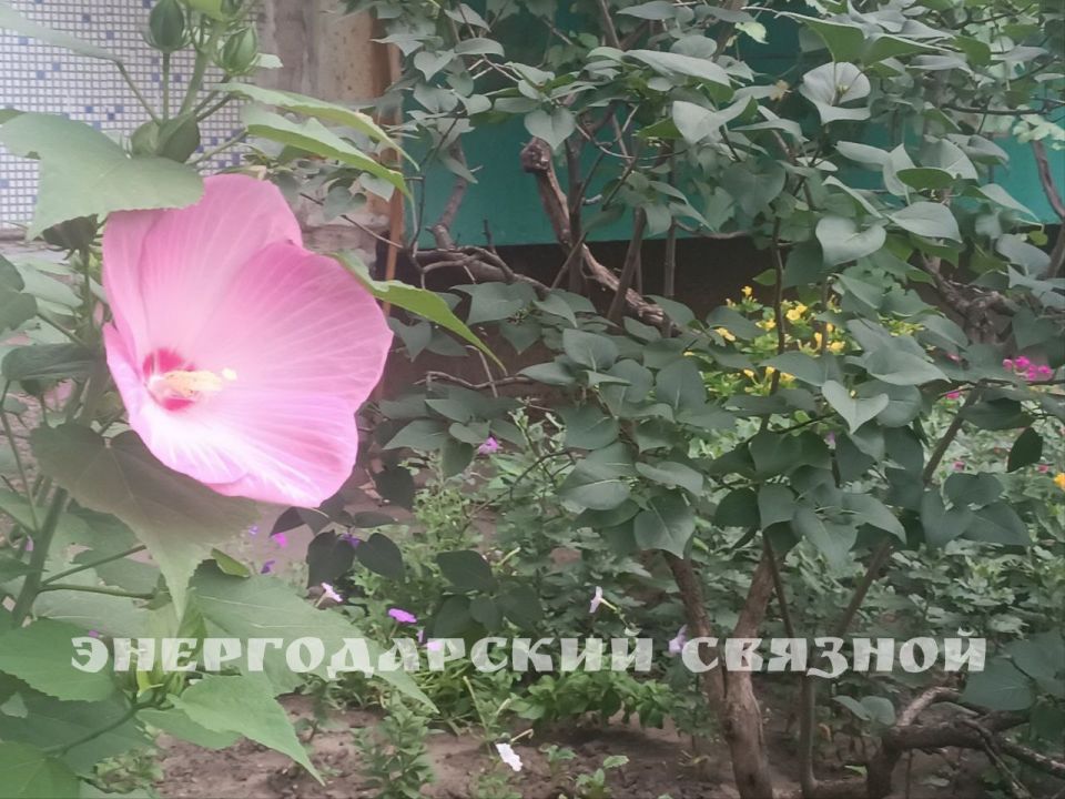 Предвкушение выходных становится всё ярче, ведь сегодня четверг